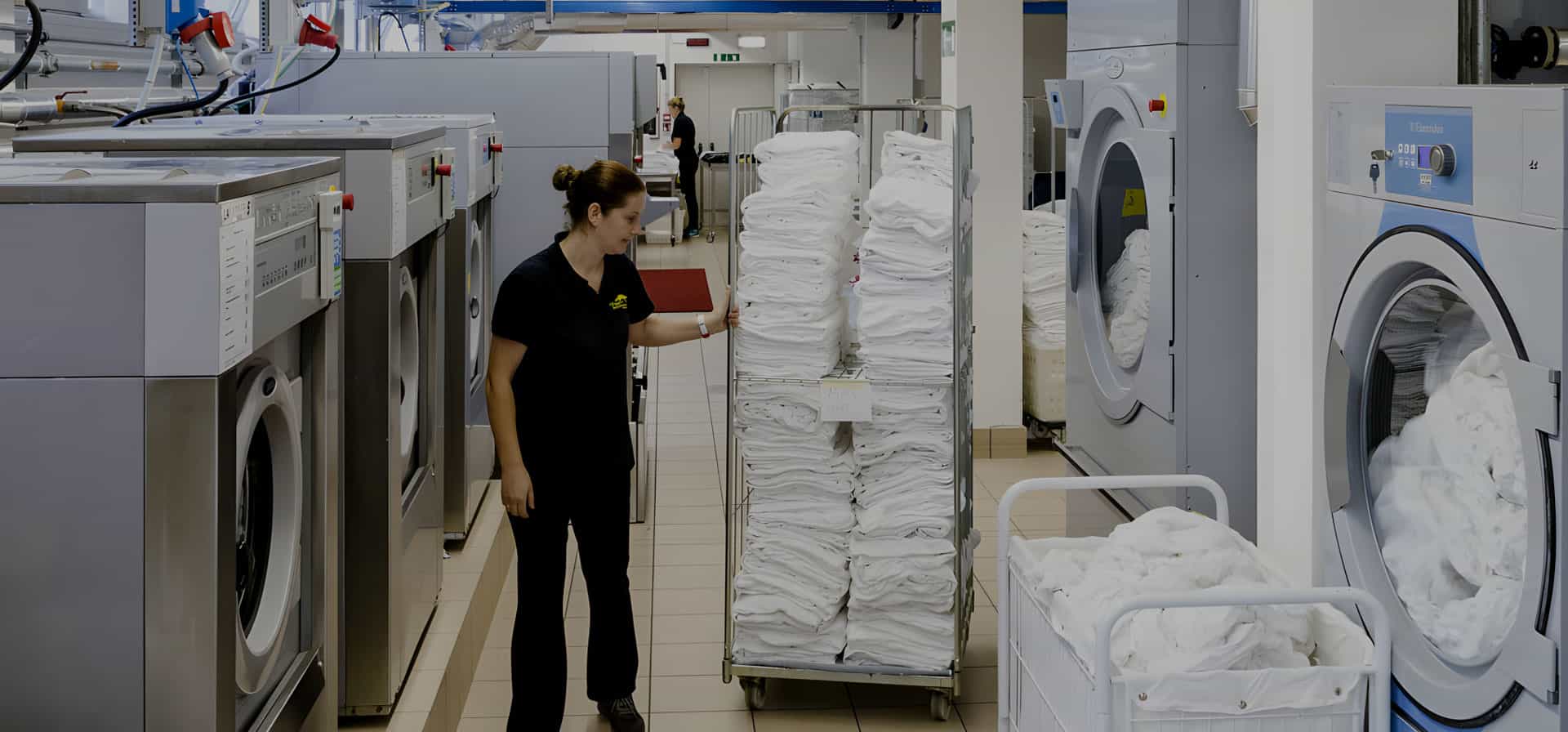 Public Laundry Factory